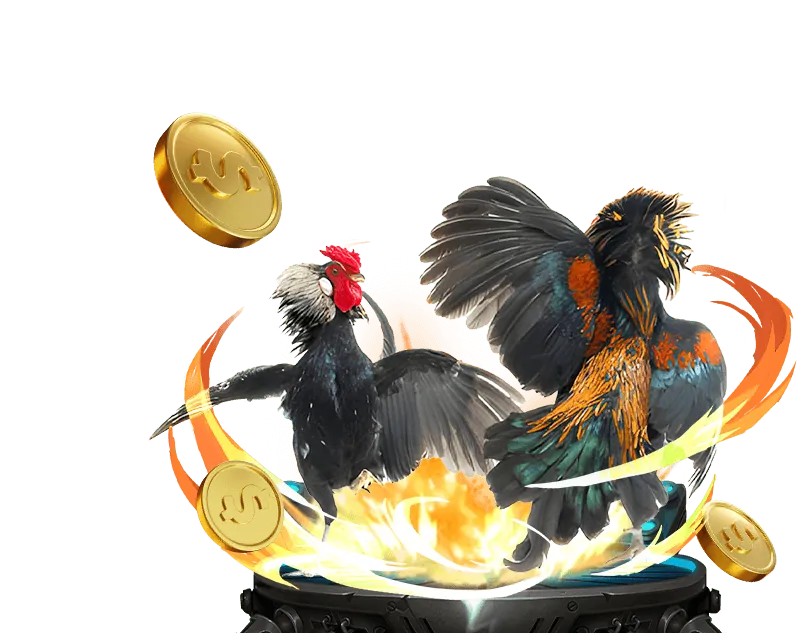 Đá Gà trực tuyến kịch tính tại xoso1234